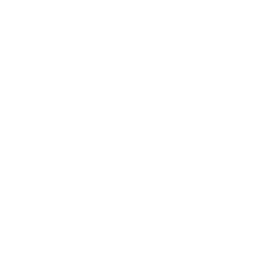 CMSA Logo